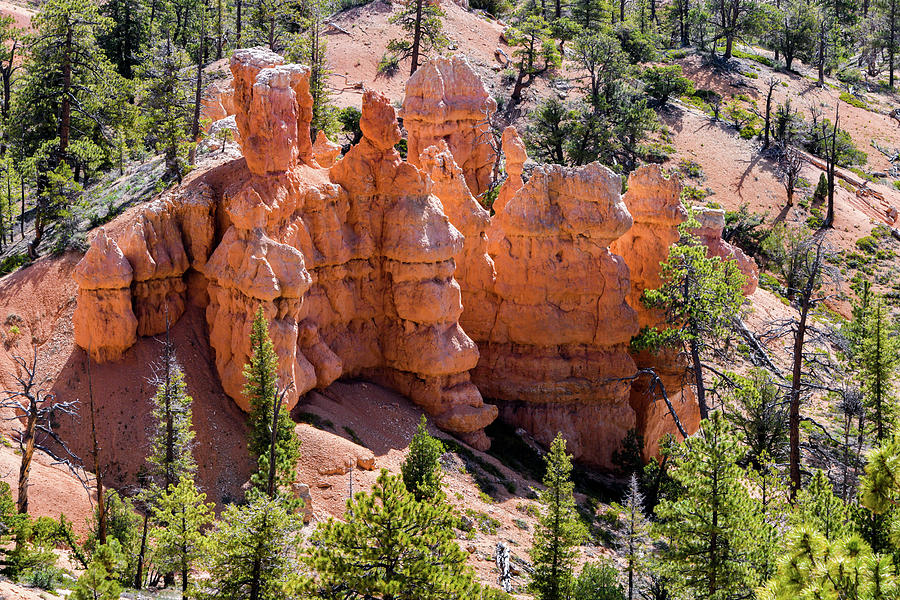 Hoodoo Formation Bryce Canyon Photograph by Anthony Sacco Hoodoo Formation Bryce Canyon Photograph by Anthony Sacco
