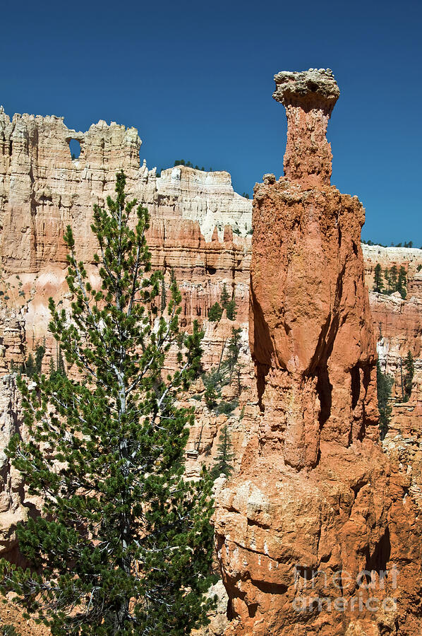 Hoodoo in Bryce Canyon Photograph by Delphimages Photo Creations