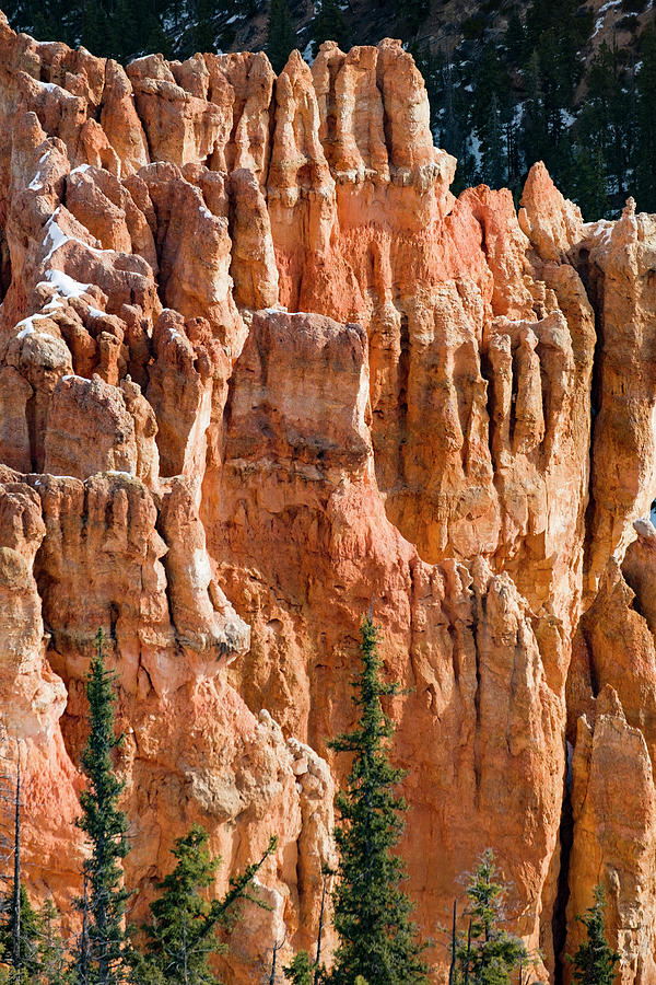 Hoodoo natural rock formation Photograph by David L Moore