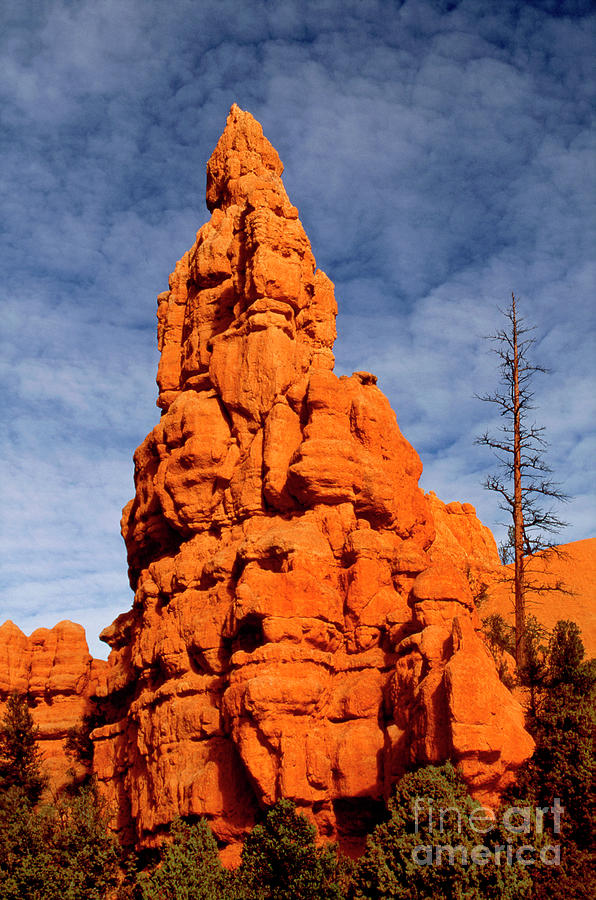 Hoodoo Near Bryce Canyon National Park Photograph by Dave Welling