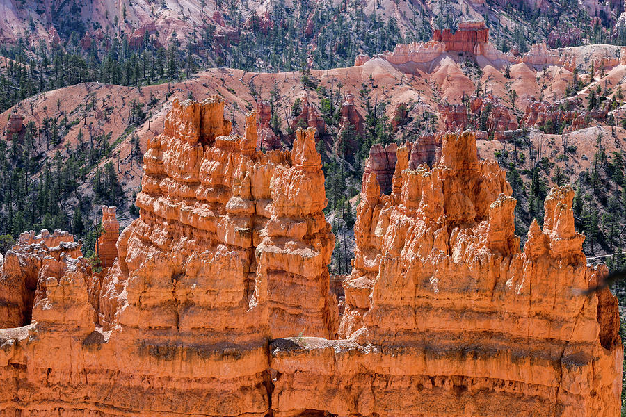 Hoodoo Spires Bryce Canyon Photograph by Anthony Sacco Hoodoo Spires Bryce Canyon Photograph by Anthony Sacco