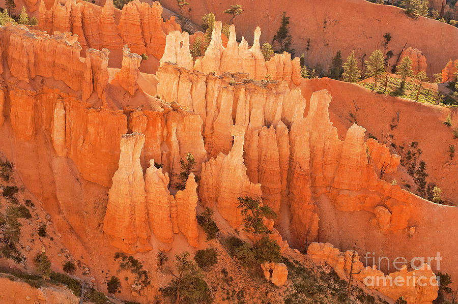 Hoodoos At Sunrise Bryce Canyon National Park Utah Photograph by Dave Welling