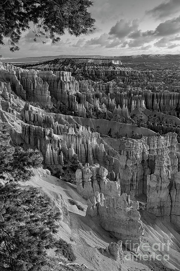 Bryce Canyon National Park Photograph - Hoodoos Bryce Canyon Black White Utah  by Chuck Kuhn