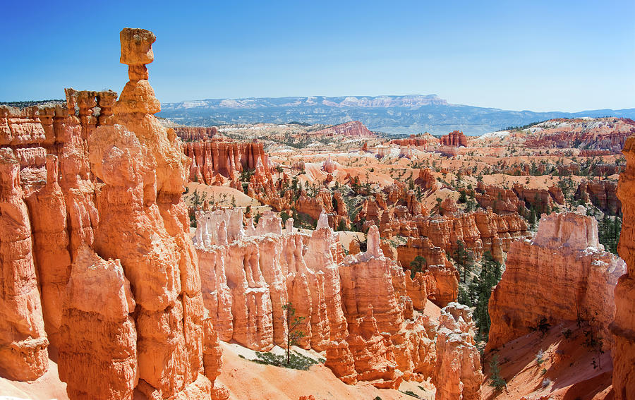 Thor hammer in Bryce Canyon Photograph by Jean-Luc Farges