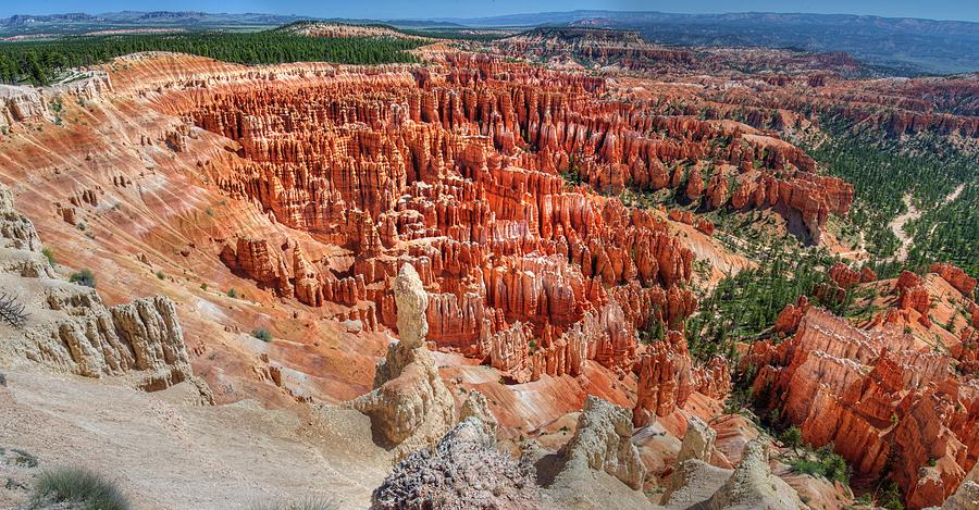 Hoodoos in Bryce Canyon Photograph by Walt Sterneman