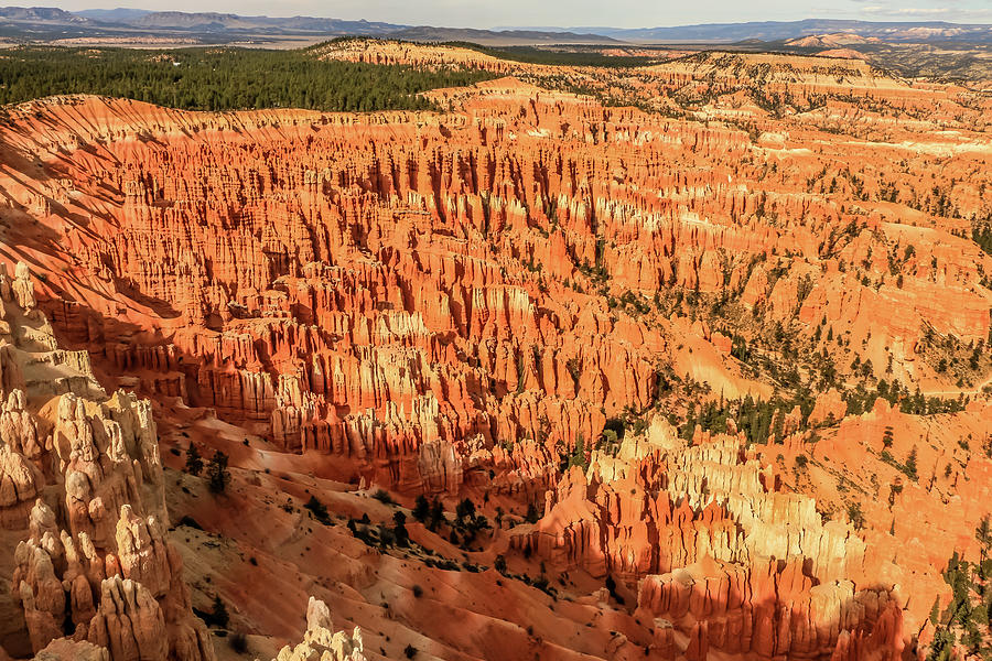 Hoodoos of Bryce Canyon 1 Photograph by Dawn Richards