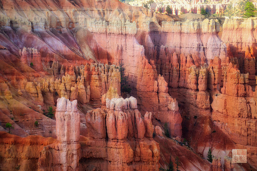Hoodoos Of Bryce Canyon Photograph by Gene Taylor