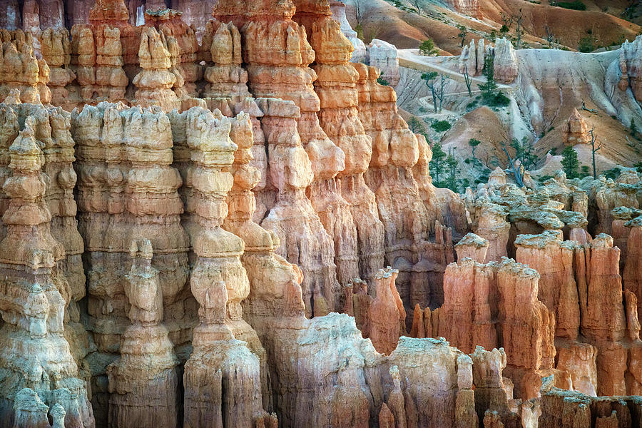Hoodoos Of Bryce Canyon Photograph