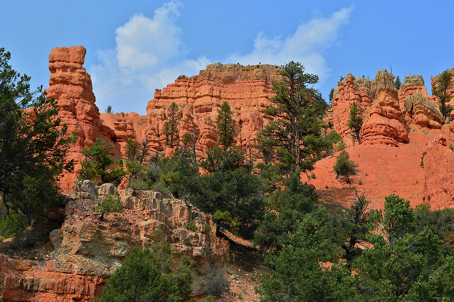 Hoodoos Of Red Canyon - Utah Photograph