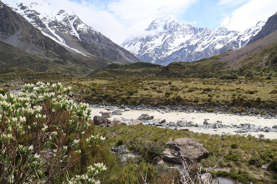 Hooker Valley walking track , Mt.Cook. New Zealand Photograph by Pla Gallery