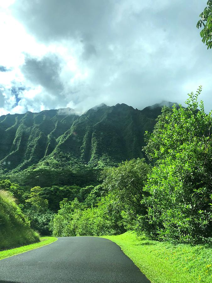 Ho'omaluhia Botanical Gardens Photograph by Danielle Sturkie