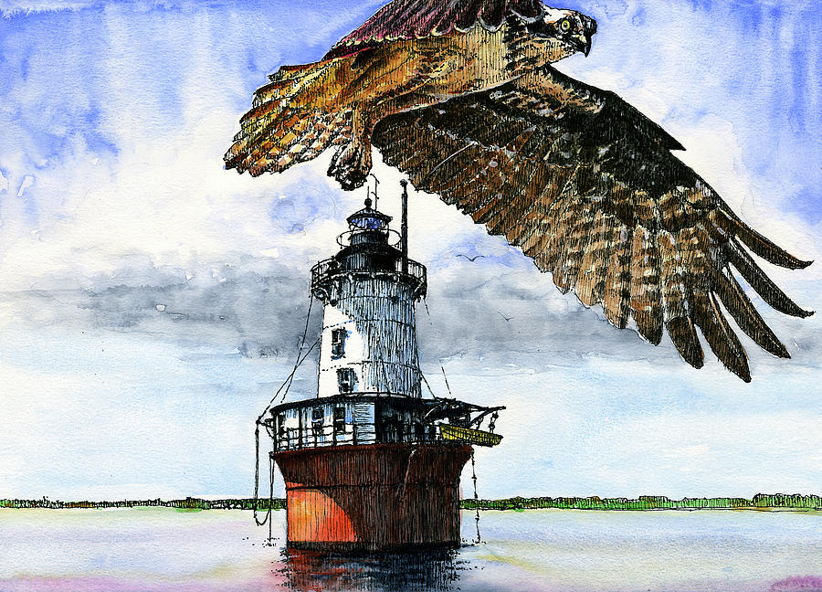 Osprey Painting - Hoopers Island Lighthouse by John D Benson