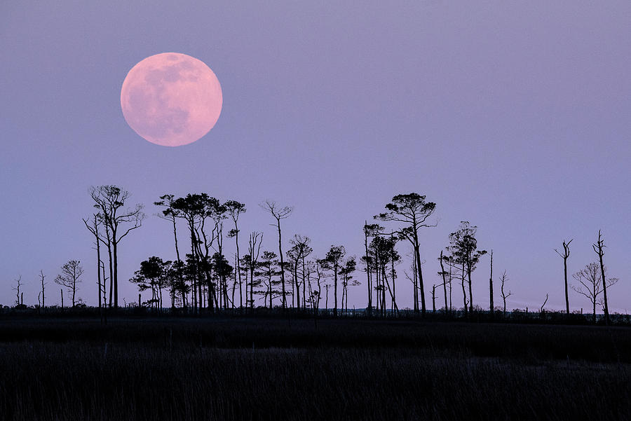 Hoopers Moon Photograph by Robert Fawcett