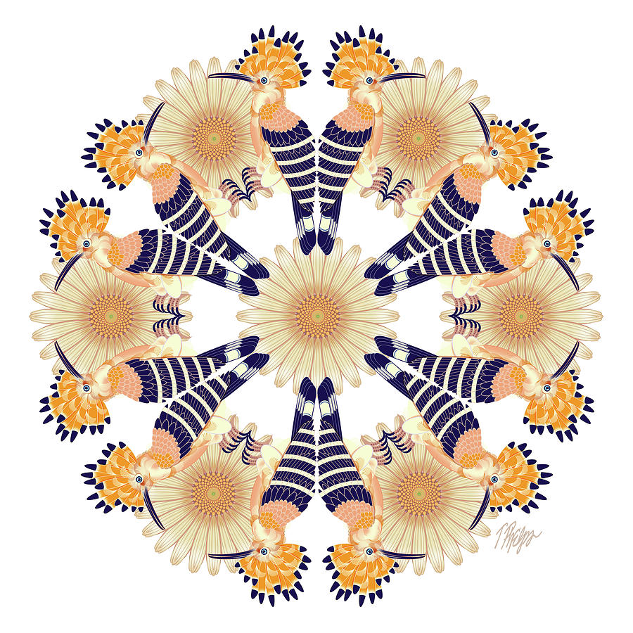 Hoopoe Coneflower Mandala Digital Art by Tim Phelps