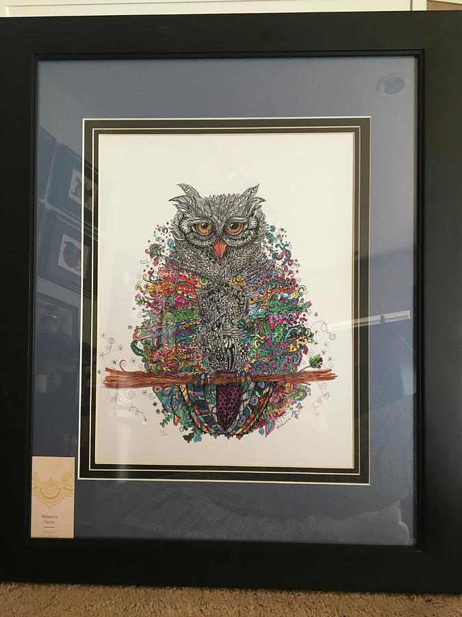 Hoot Drawing by Rebecca Bowman | Fine Art America