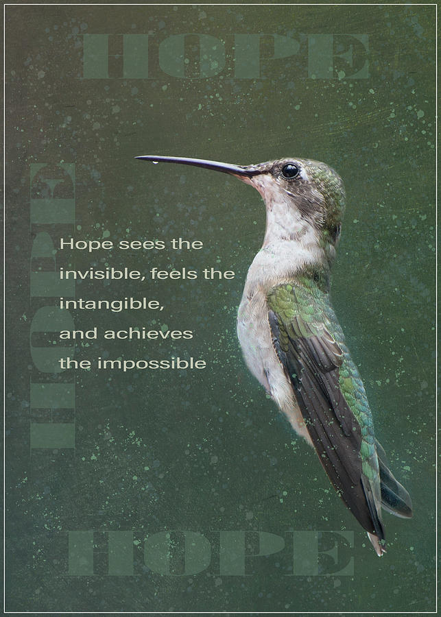 Hope and the Impossible Photograph by Norma Brandsberg
