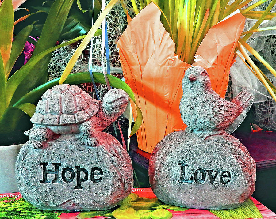 Hope And Love Photograph by Andrew Lawrence