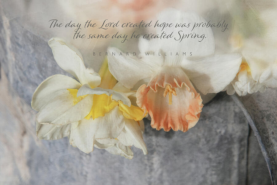Spring Digital Art - Hope and Spring by Terry Davis