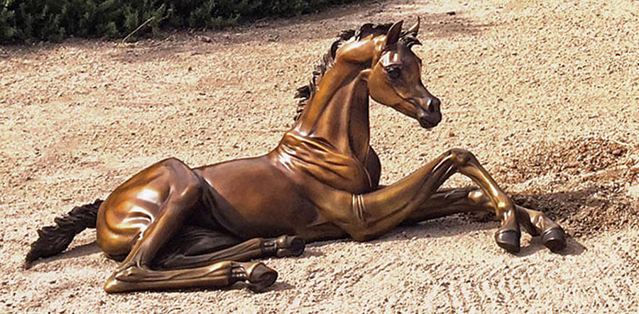 Hope Bronze Life Size Foal Sculpture  Sculpture by J Anne Butler