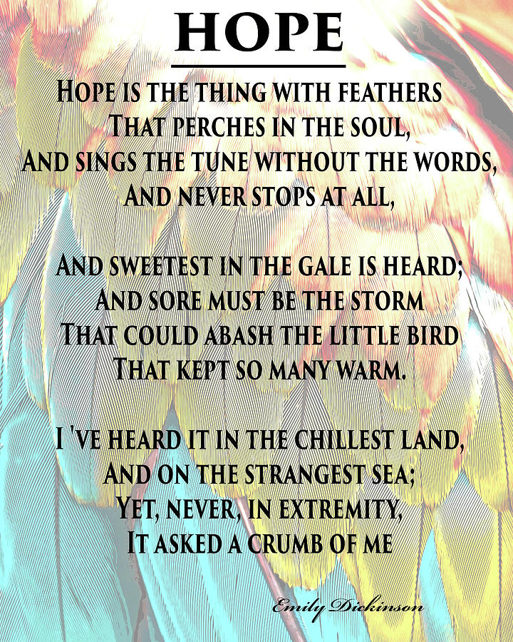 Hope Emily Dickinson Poem Color Feathers Mixed Media by Dan Sproul