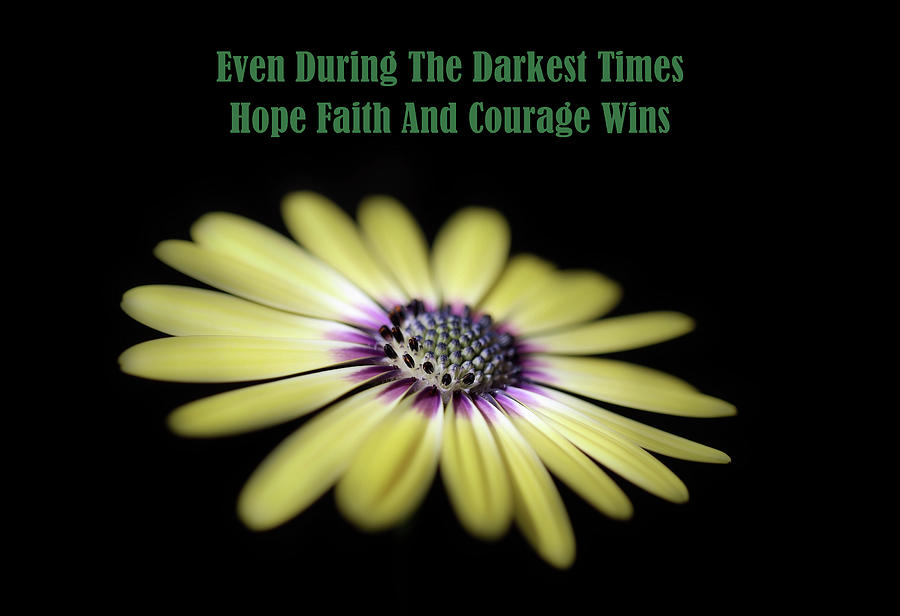 Hope Faith And Courage Wins Photograph by Johanna Hurmerinta