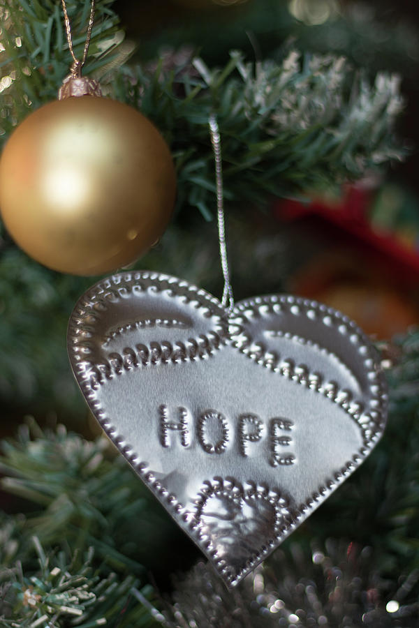Hope in a Heart Photograph by Avenue Des Images Hope in a Heart Photograph by Avenue Des Images