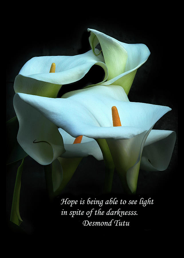 Hope in the Darkness Quote Photograph by Peggy Kahan