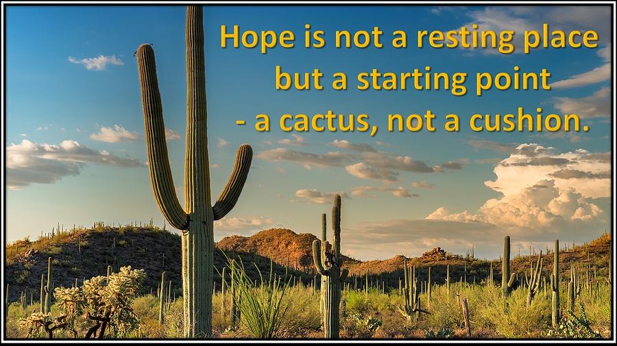 Hope Is Like A Cactus Mixed Media by Nancy Ayanna Wyatt
