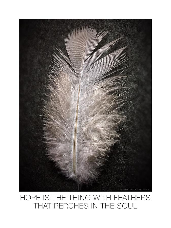 Hope Is the Thing With Feathers Digital Art by Gail Marten