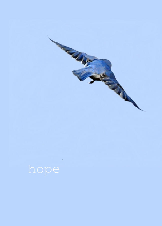 Hope Mixed Media by Judy Cuddehe