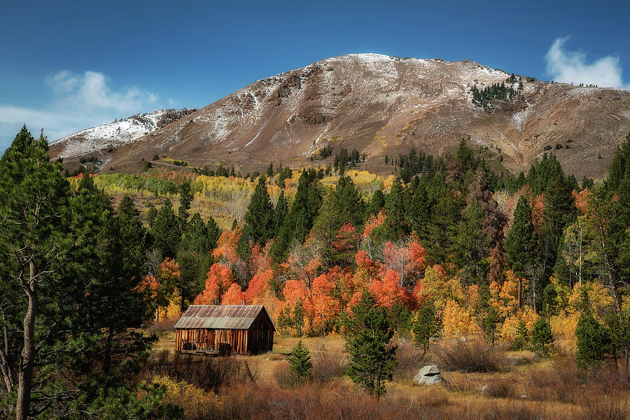 Hope Valley Barn Photograph by Clint Musgrove - Fine Art America