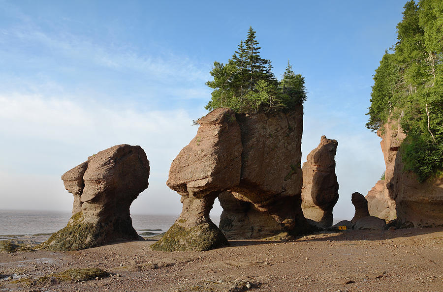 Hopewell Rocks in the sunrise Photograph by Alexandra Draghici