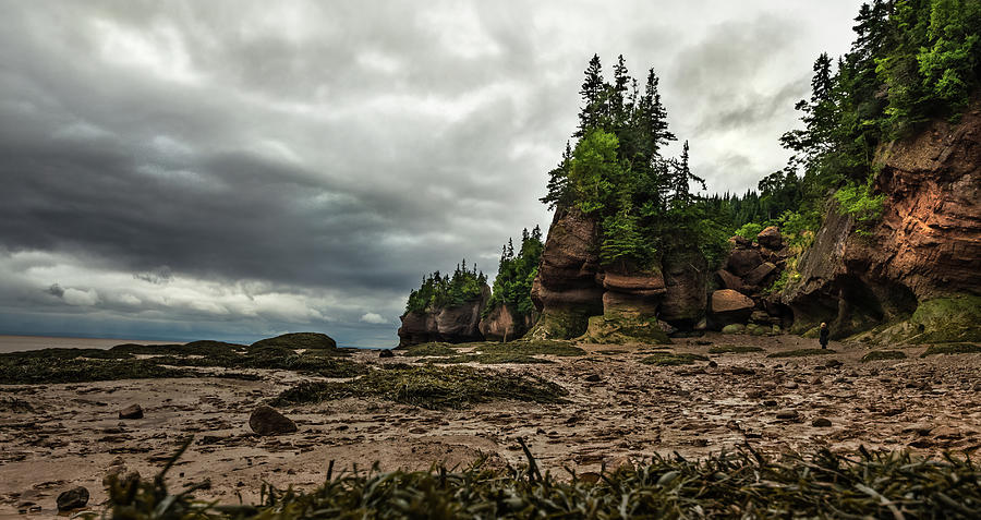 Hopewell Rocks Low Tide Photograph by Linda Villers