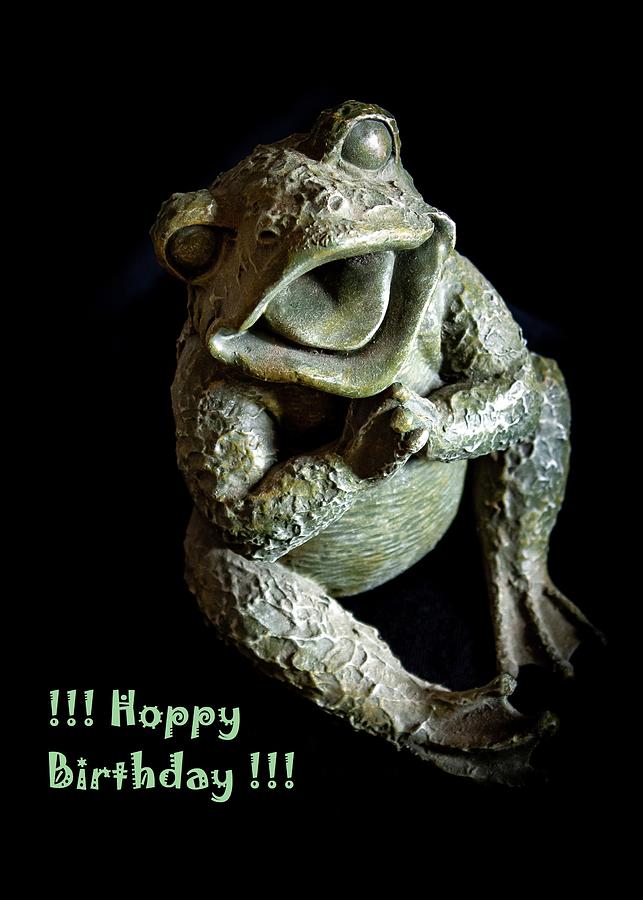 Hoppy Birthday Card - Frog Photograph by David Beard - Fine Art America