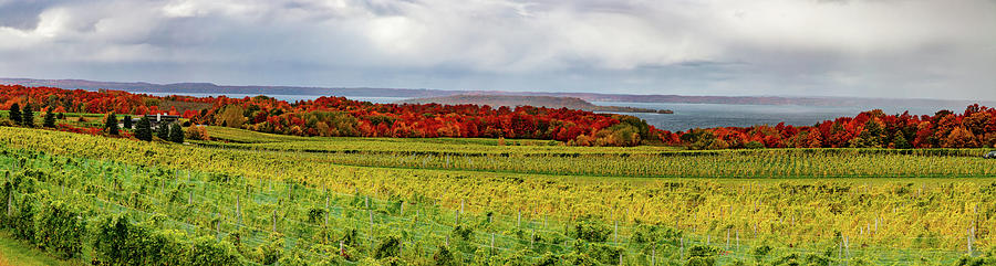 Hops field with fall colors in Empire Michigan Photograph by Eldon McGraw