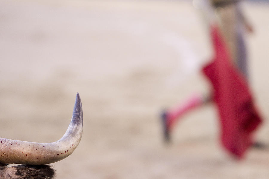 Horn of bull Photograph by Copyright, Juan Pelegrín.