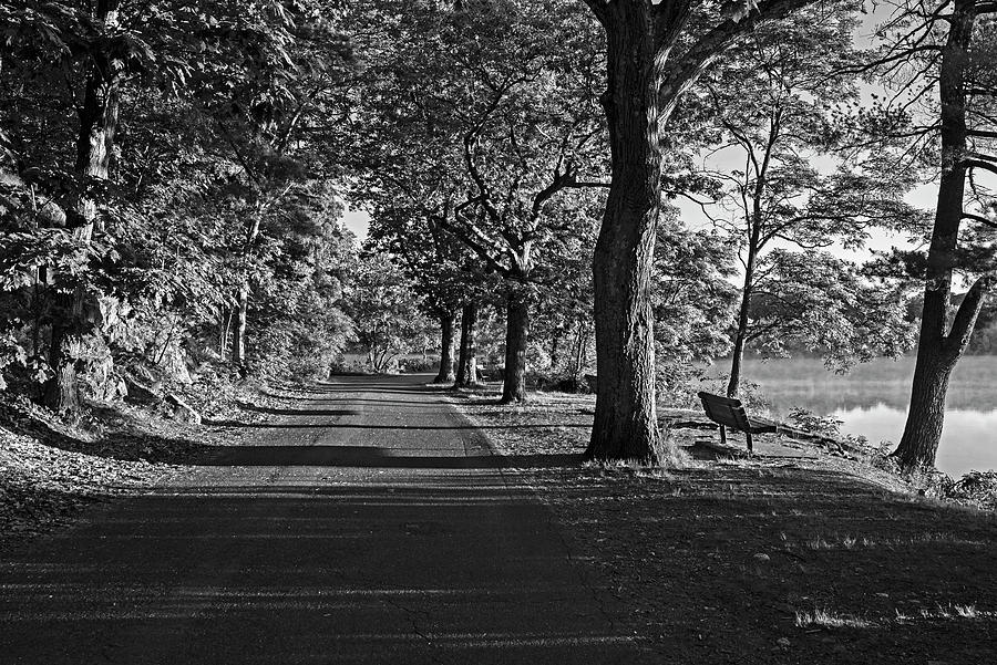 Horn Pond Bench Sunrise in Woburn Massachusetts Path Black and White Photograph by Toby McGuire