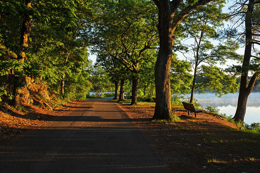 Horn Pond Bench Sunrise in Woburn Massachusetts Path Photograph by Toby McGuire