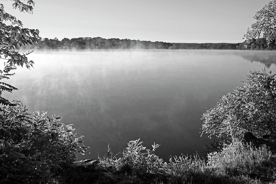Horn Pond Sunrise Bench in Woburn Massachusetts Golden Mist Black and White Photograph by Toby McGuire
