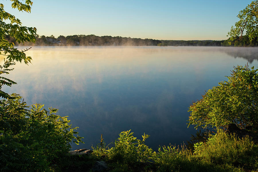 Horn Pond Sunrise Bench in Woburn Massachusetts Golden Mist Photograph by Toby McGuire