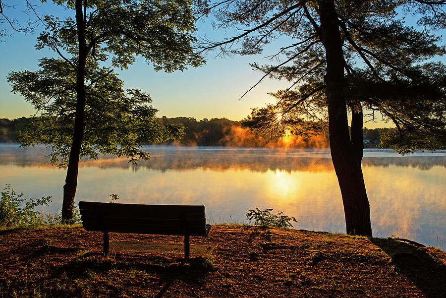 Horn Pond Sunrise Bench in Woburn Massachusetts Photograph by Toby McGuire