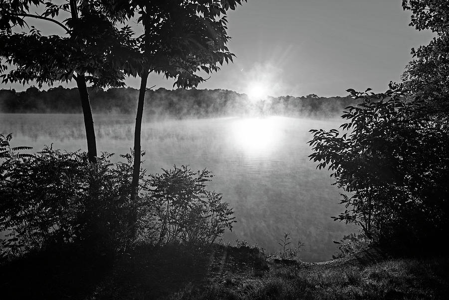 Horn Pond Sunrise in Woburn Massachusetts Mist Black and White Photograph by Toby McGuire