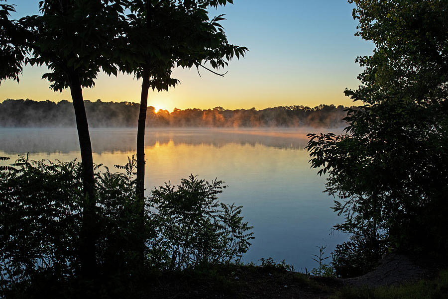 Horn Pond Sunrise in Woburn Massachusetts Through the Trees Photograph by Toby McGuire