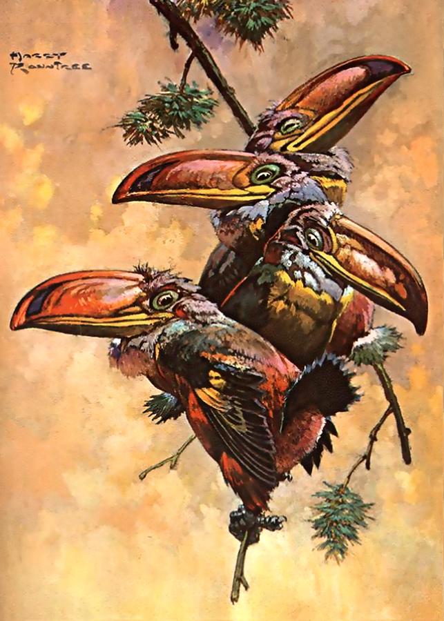 Hornbill Digital Art - Hornbills Fantasy Art by Patricia Keith