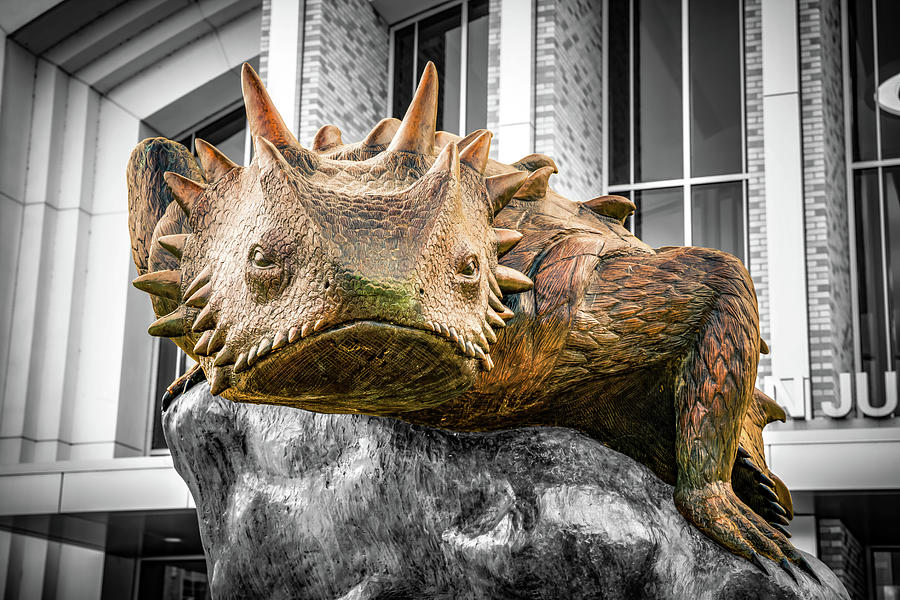 Horned Frog Fortitude - A Selective Color Tribute Photograph by Gregory Ballos