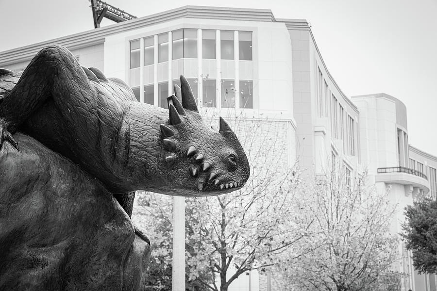 Horned Frog Ready For Battle In Black And White - Fort Worth Texas Photograph by Gregory Ballos