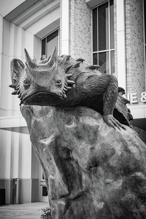 Horned Frog Statue At TCU In Fort Worth Texas - Black and White Photograph by Gregory Ballos
