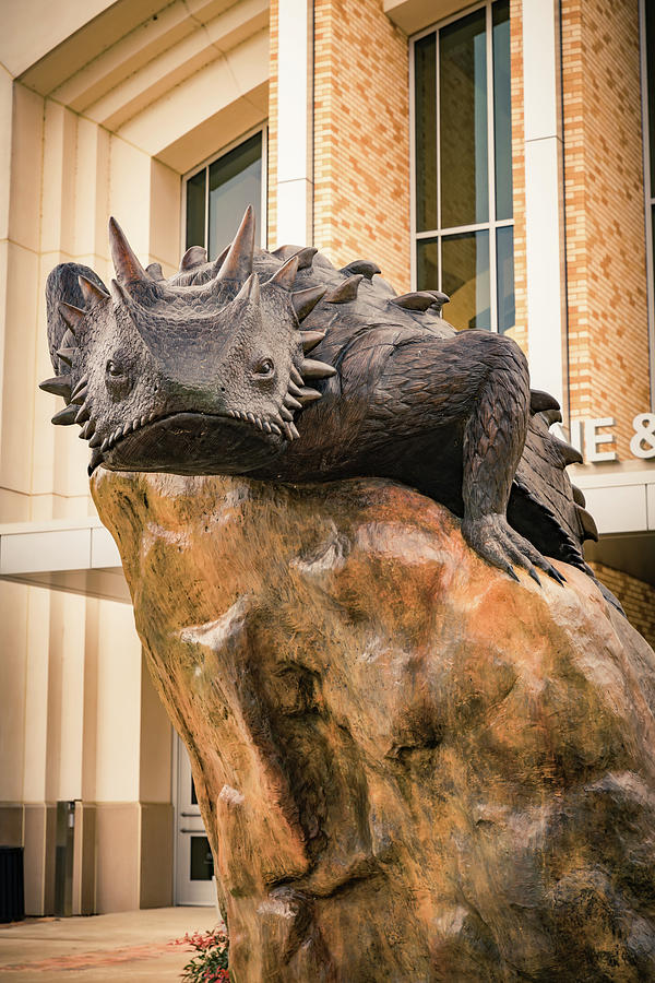 Horned Frog Statue At TCU In Fort Worth Texas Photograph by Gregory Ballos