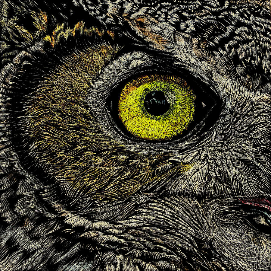 Horned Owl Close Up Mixed Media by Sonja Jones