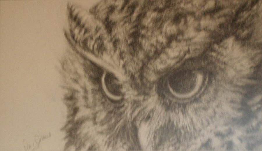 Horned Owl Drawing by Diane  DiMaria